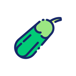 zucchini icon