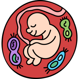embryo icon