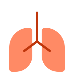 Lung icon