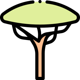 baum icon