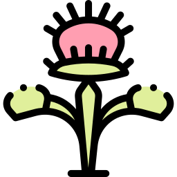 vleesetende plant icoon
