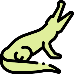 crocodile Icône