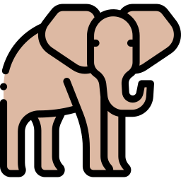 象 icon