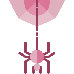 Spider web icon