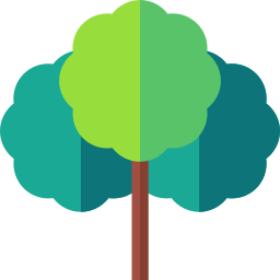 Cinnamon tree icon