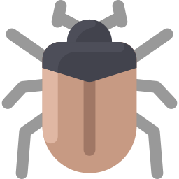 Beetle icon