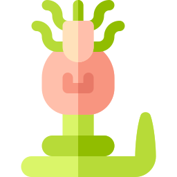 gorgona icono