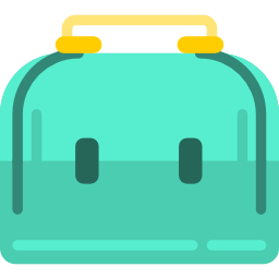 Bag icon