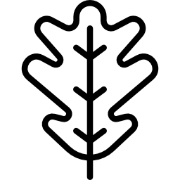 Leaf icon