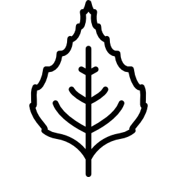 Leaf icon