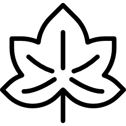 ahornblatt icon
