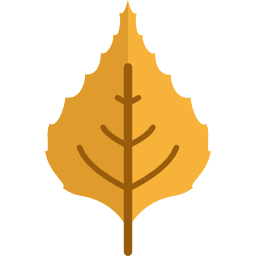 Leaf icon