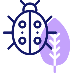 Ladybug icon