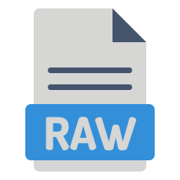 archivo raw icono