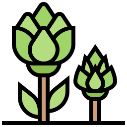 Artichoke icon