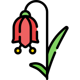 꽃 icon