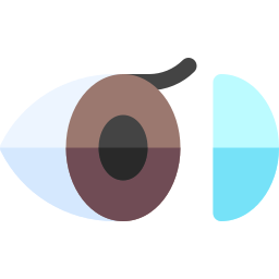 lente dell'occhio icona