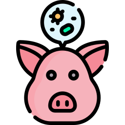 Pig icon