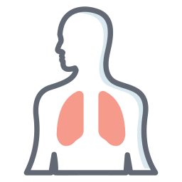 sistema respiratorio icona