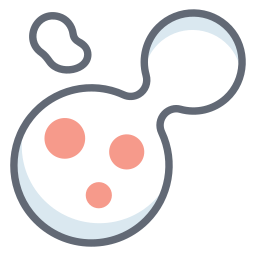 세포 분열 icon