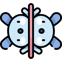 symetria ikona