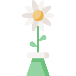 Daisy icon