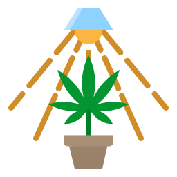 cannabis Icône