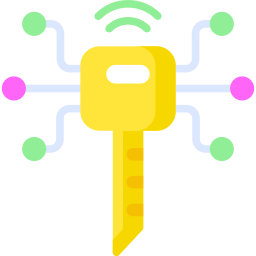 Smart key icon