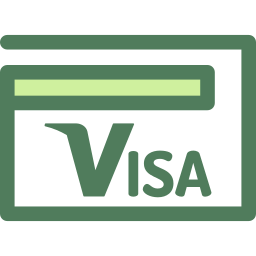 visa Icône
