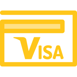 visa icon