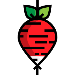 Radish icon