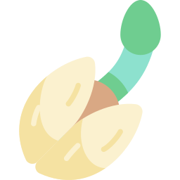 Seed icon