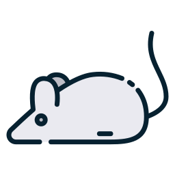 souris Icône