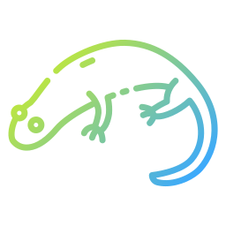 salamandra icona