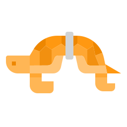 Turtle icon