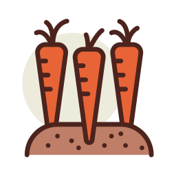 carottes Icône