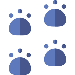 Footprint icon