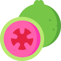 Guava icon