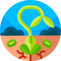 Sprouts icon