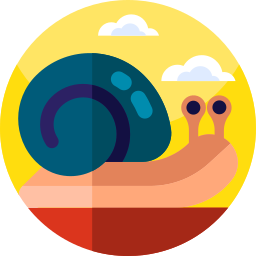 Snail icon