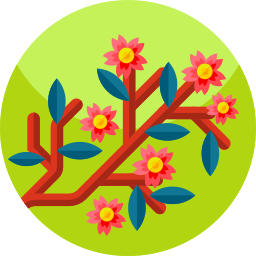 Branches icon