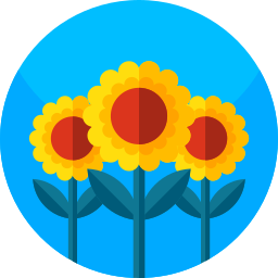 sonnenblume icon