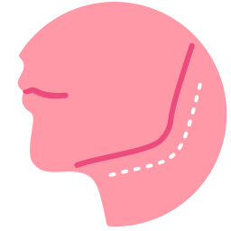 cirurgia plástica Ícone