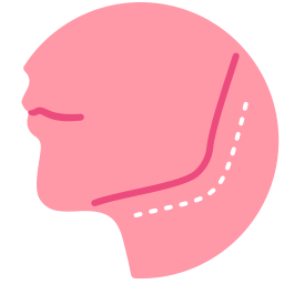 Cosmetic surgery icon