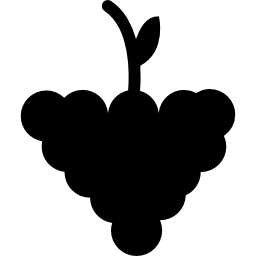 Grapes with stem and leaf icon