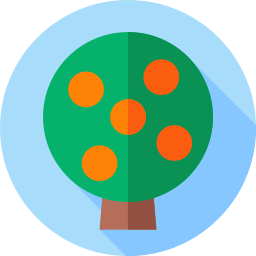 drzewo pomarańczowe ikona