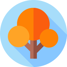 Cinnamon tree icon