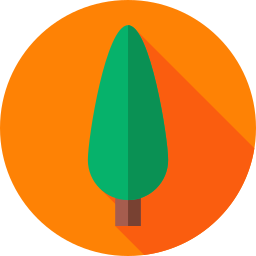 Cypress icon