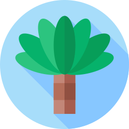 코코넛 나무 icon