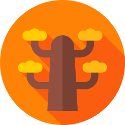 mammutbaum icon